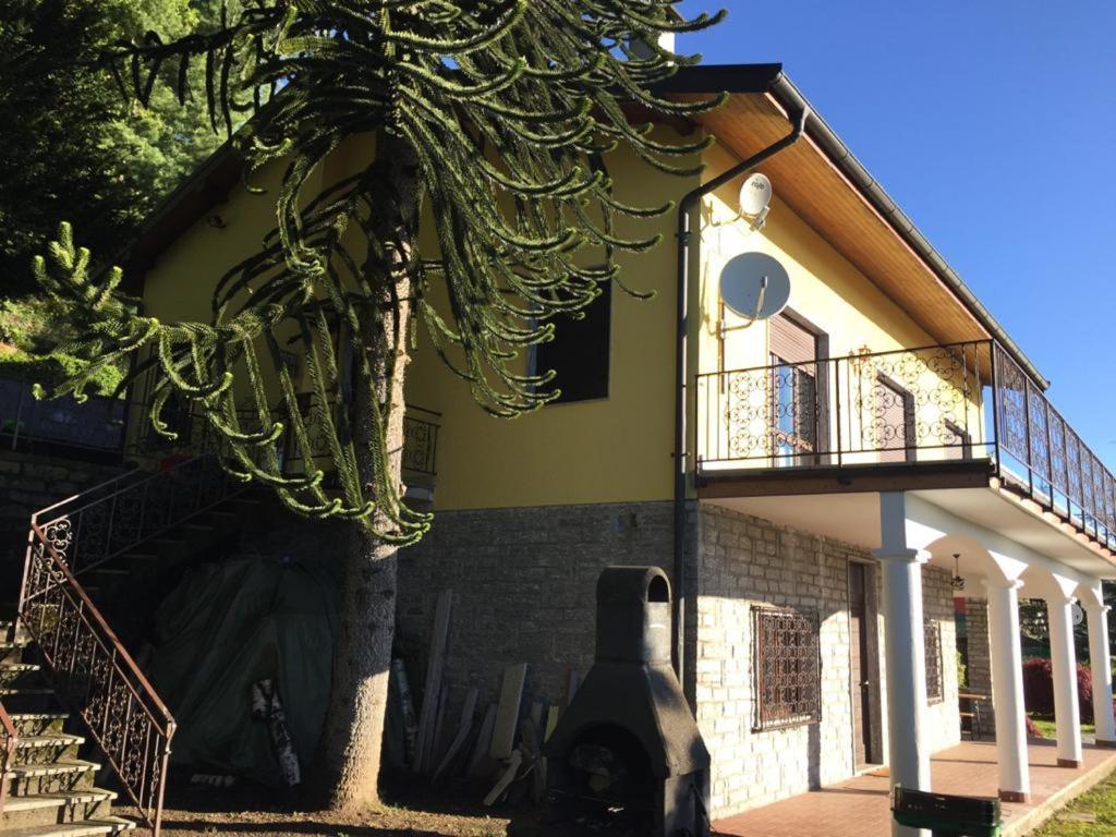 Assunta * Premeno